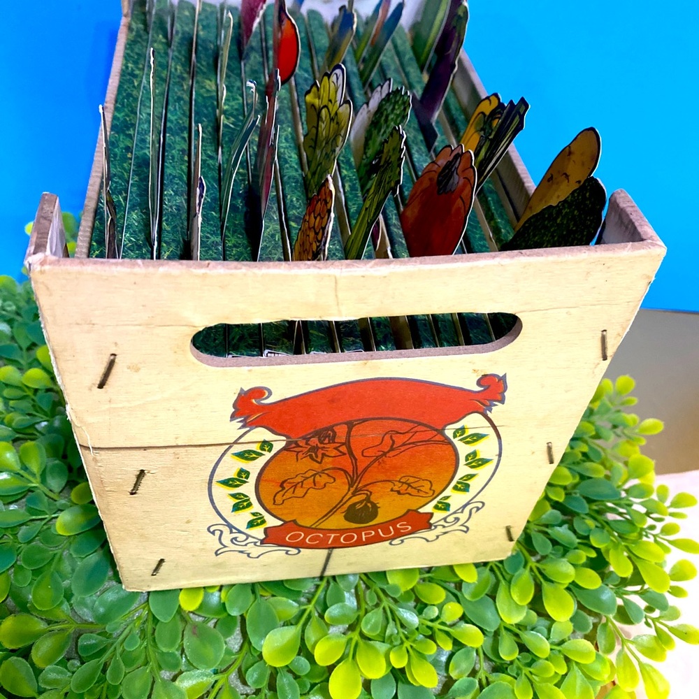The Vegetable Box Cookbook - Picture 5 of 15